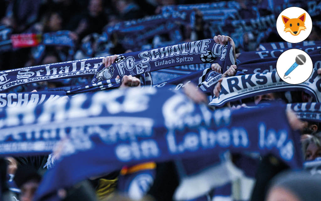 Der Quotenfuchs bei Schalke gegen Leverkusen.
