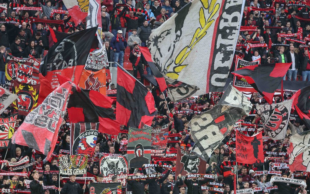 Bayer Leverkusen - Eintracht Frankfurt, Samstag 15:30 Uhr