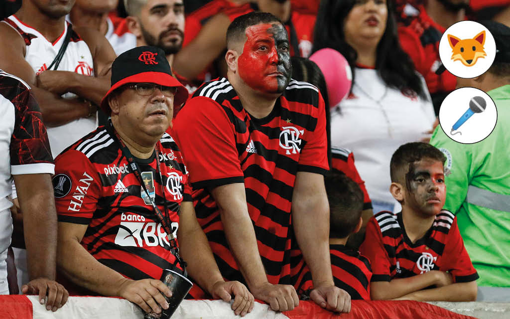 Der Quotenfuchs in Rio de Janeiro bei Flamengo gegen America