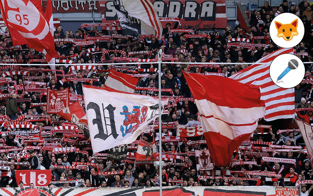 Der Quotenfuchs beim Zweitligaspiel Düsseldorf – St. Pauli