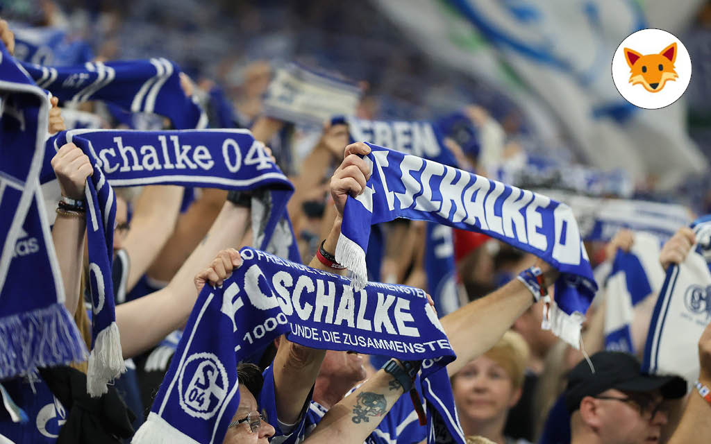 Der Quotenfuchs auf Schalke bei S04 – 1. FC Köln