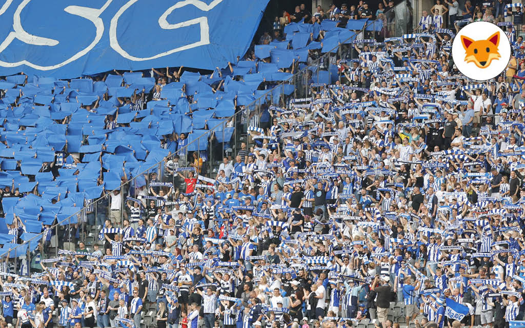 Der Quotenfuchs in Berlin bei Hertha – Fortuna