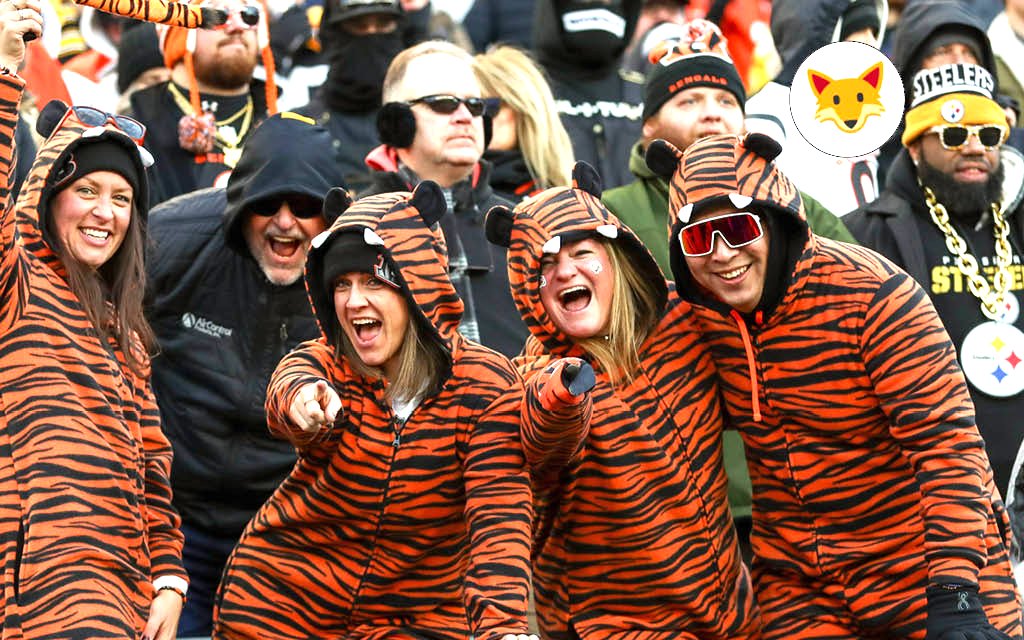 Der Quotenfuchs bei den Pittsburgh Steelers gegen die Cinicinnati Bengals