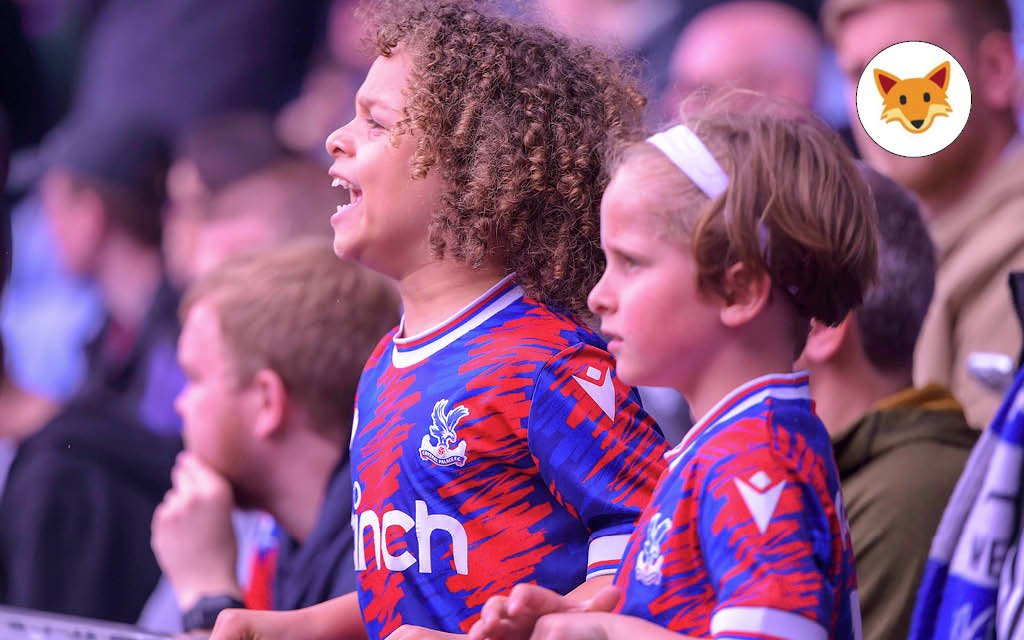 Der Quotenfuchs beim englischen Pokalfinale zwischen Crystal Palace und Manchester City.