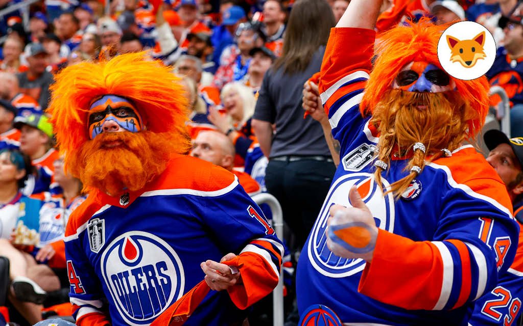 Der Quotenfuchs bei den NHL-Finals in Edmonton